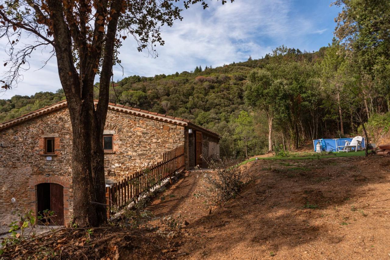 Masia Casa Nova De N'illa *